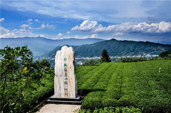 2.最美茶鄉(xiāng)鄧村.jpg
